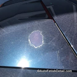 Car: clear coat failure VS oxidation?