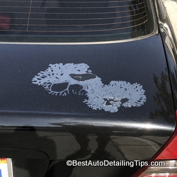 peeling clear coat on Mercedes Benz metallic grey trunk lid difference between car paint and clear coat