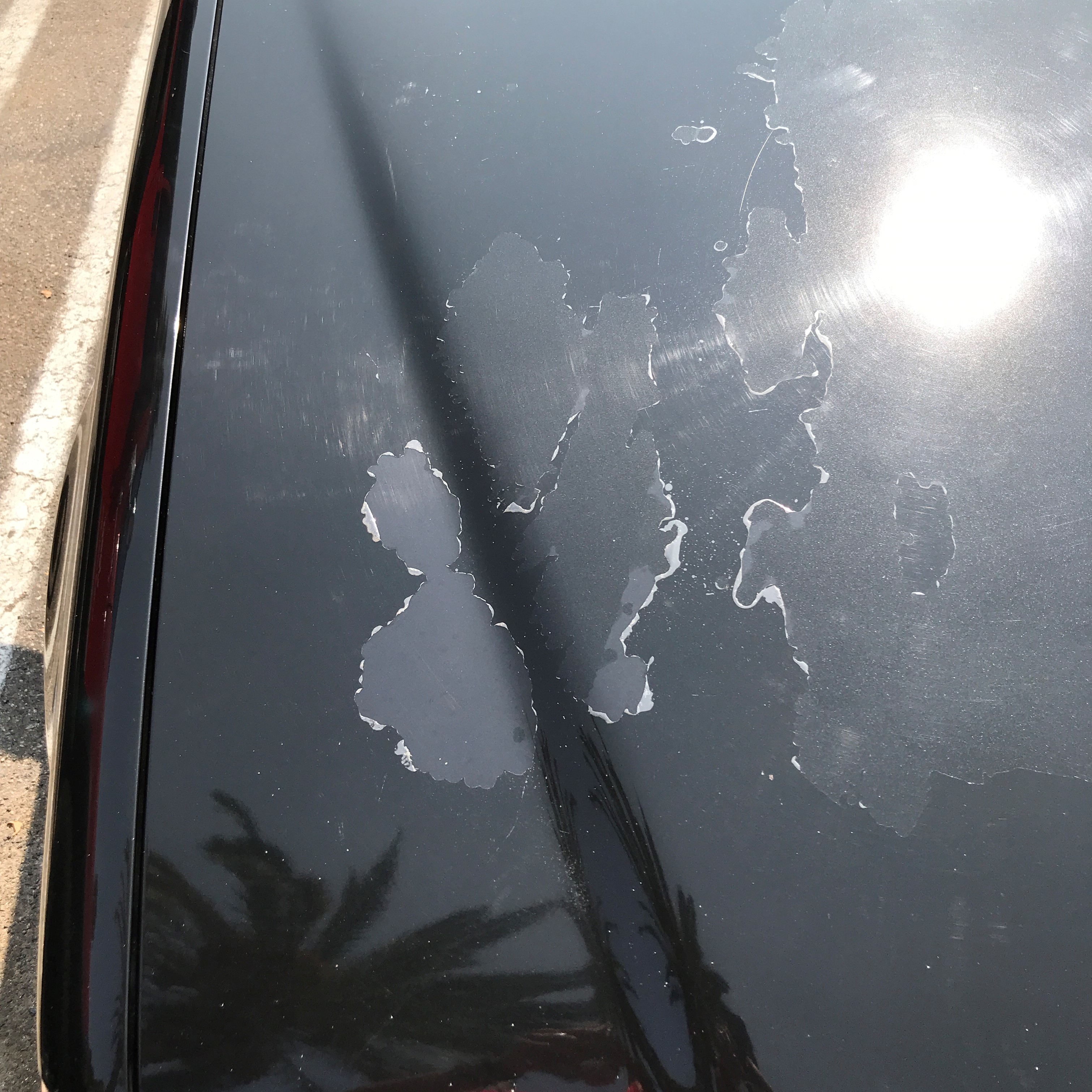 difference between car paint clear coat