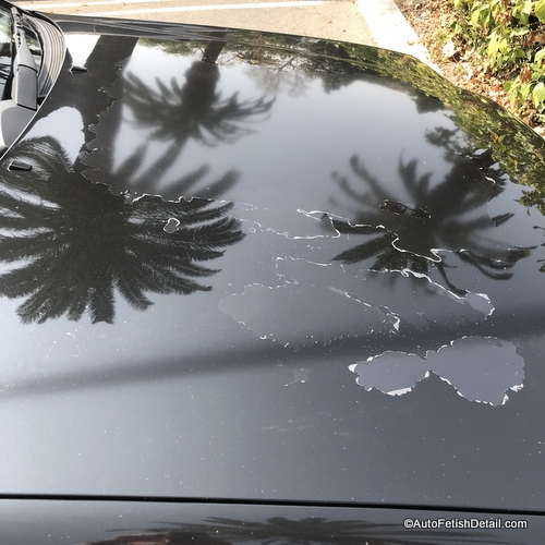 Peeling Clear Coat (no clear hardly left) - Third Generation F