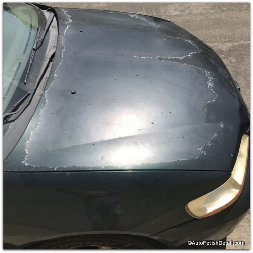 What Does Clear Coat Do The Expert separates fact from fiction